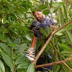 Black & Decker BEHTS401 Heggenschaar | 500 Watt | 55 Cm | 22 Mm [BEHTS 401] -Makita || Beta || Metabo Verkoopwinkel Black Decker BEHTS401 BEHTS 401 ext 5