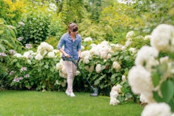 Bosch Tuingereedschap EasyGrassCut 18V-230 Accu Trimmer | 23 Cm | 18 Volt 2,0 Ah Li-Ion [0.600.8C1.A03] -Makita || Beta || Metabo Verkoopwinkel Bosch Tuin EasyGrassCut 18 230 0.600.8C1.A00 ext 3