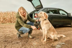 Bosch Tuingereedschap Fontus 18V Allesreiniger | 20 Bar | 15L | 1x Accu 18V 2.5Ah | +Accessoires [0.600.8B6.101] -Makita || Beta || Metabo Verkoopwinkel Bosch Tuin Fontus 0.600.8B6.000 ext 11