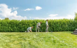 Bosch Tuingereedschap UniversalGrassCut 18V-26 Accu Trimmer | IntelliFeed 26 Cm | 18V 2,5 Ah Li-Ion [0.600.8C1.E03] -Makita || Beta || Metabo Verkoopwinkel Bosch Tuin UniversalGrassCut 18 260 0.600.8C1.D00 ext 3