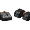 Fein Starterset 18V - 8,0Ah Starterset | Lader GAL 18V-160 | 2x Accu ProCore 18 Volt 8,0 Ah [92604229010] -Makita || Beta || Metabo Verkoopwinkel Fein Starterset 18V 80Ah 92604229010